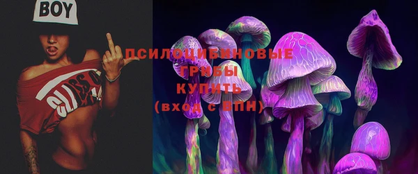 ГАЛЛЮЦИНОГЕННЫЕ ГРИБЫ Корсаков