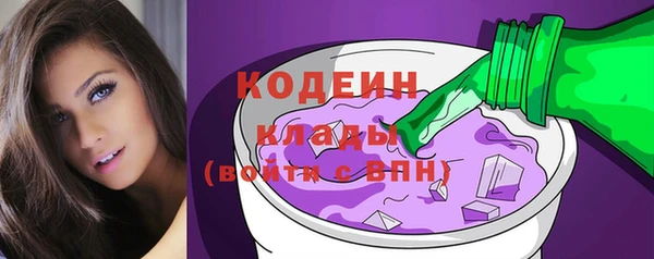 ГАЛЛЮЦИНОГЕННЫЕ ГРИБЫ Корсаков