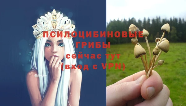СК Костерёво