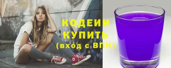 ГАЛЛЮЦИНОГЕННЫЕ ГРИБЫ Корсаков