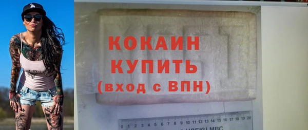 ГАЛЛЮЦИНОГЕННЫЕ ГРИБЫ Корсаков
