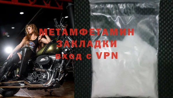 ГАЛЛЮЦИНОГЕННЫЕ ГРИБЫ Корсаков
