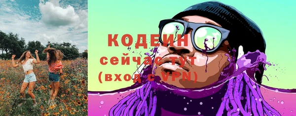 ГАЛЛЮЦИНОГЕННЫЕ ГРИБЫ Корсаков