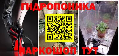 крисы Бийск