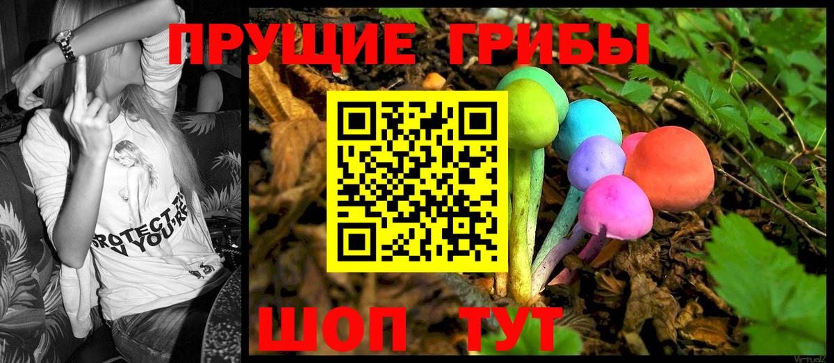 Галлюциногенные грибы GOLDEN TEACHER Томск