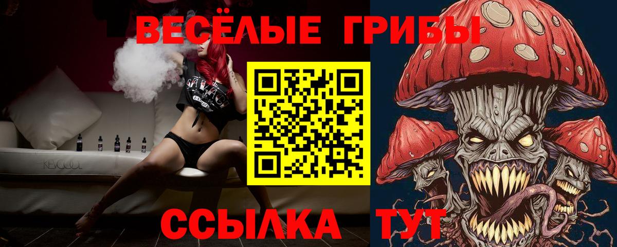 Псилоцибиновые грибы Cubensis  Вход с VPN  Томск 
